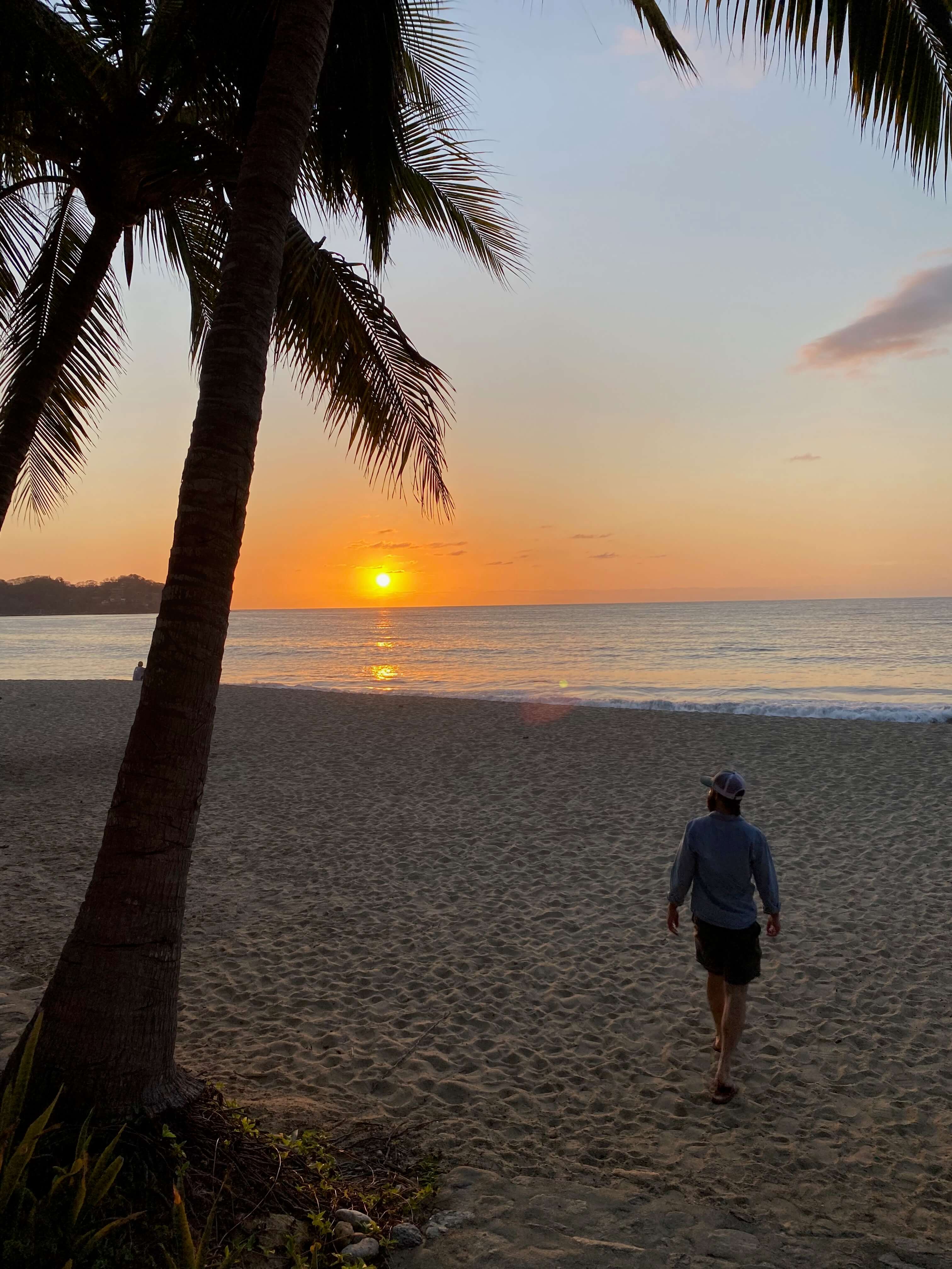 Silhouetted palm tree leaning over a Sayulita beach at sunset, sun low on the horizon, a solo figure in a cap walking on the sand