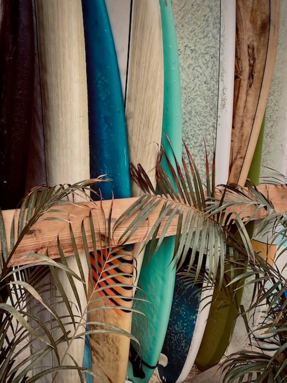 Row of colorful surfboards lined up vertically against a wall in Sayulita, held by a horizontal wooden rail with palm fronds drooping in front