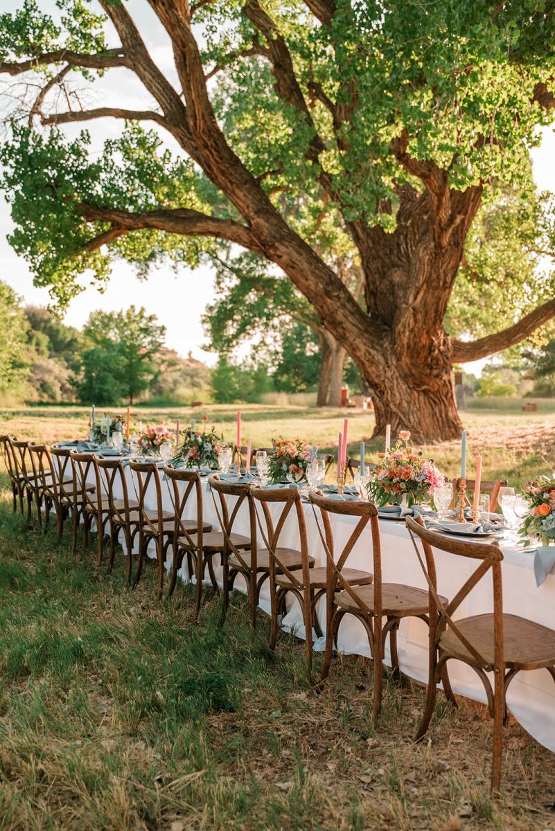 Long single table set for a micro wedding reception in an orchard, with rows of fruit trees stretching behind