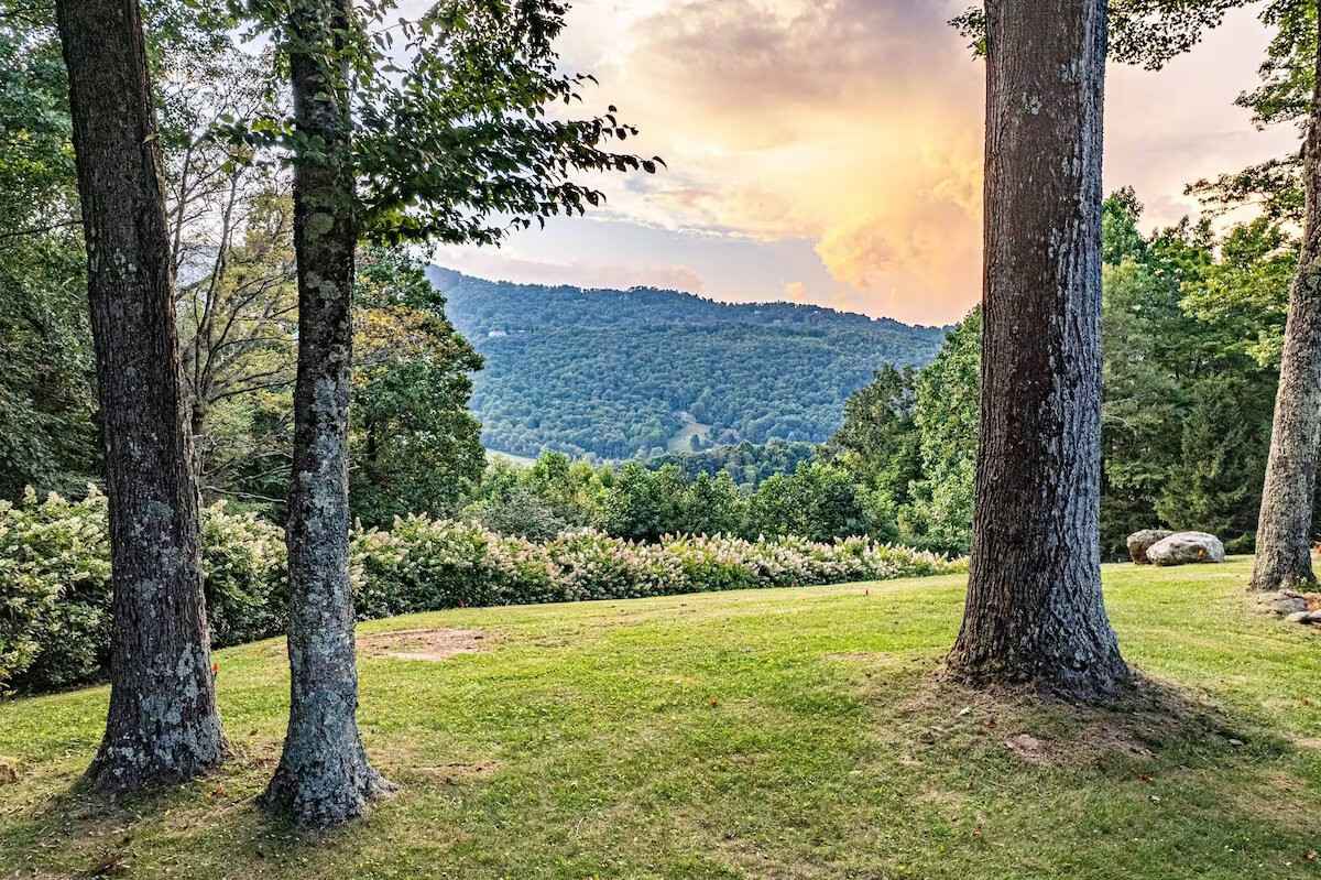 Blue Ridge ridgeline framed by maple trunks across a manicured Hemingway Estates lawn, hydrangea bushes along the edge under sunset clouds