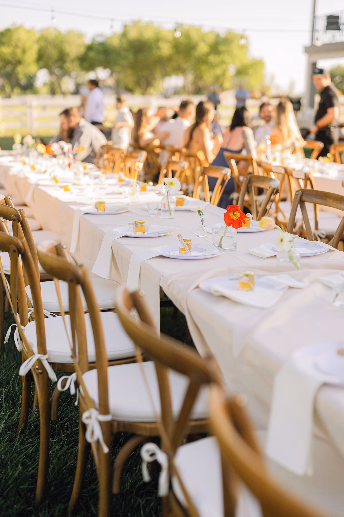 Long outdoor reception table — cream linens, cross-back chairs, single orange poppies in bud vases, place settings, string lights at golden hour