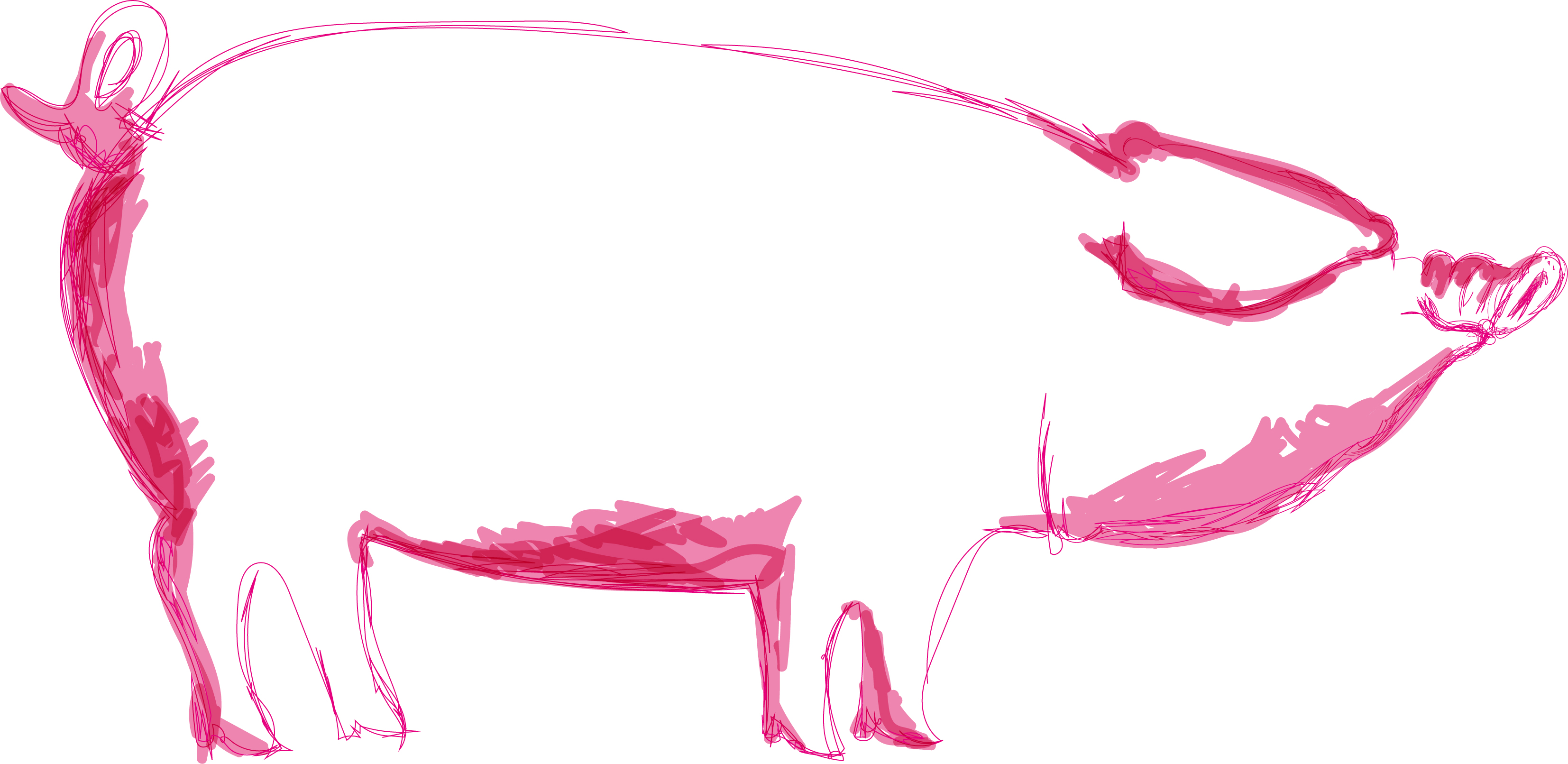 Imagen o logo de Alicia Cárdenes Delgado de Molina