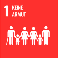 SDG 1