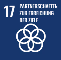 SDG 17