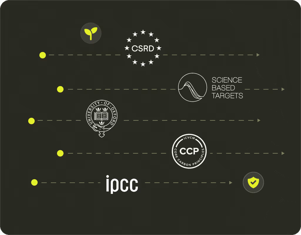 The Advisory for Carbon Credit Strategy by Senken