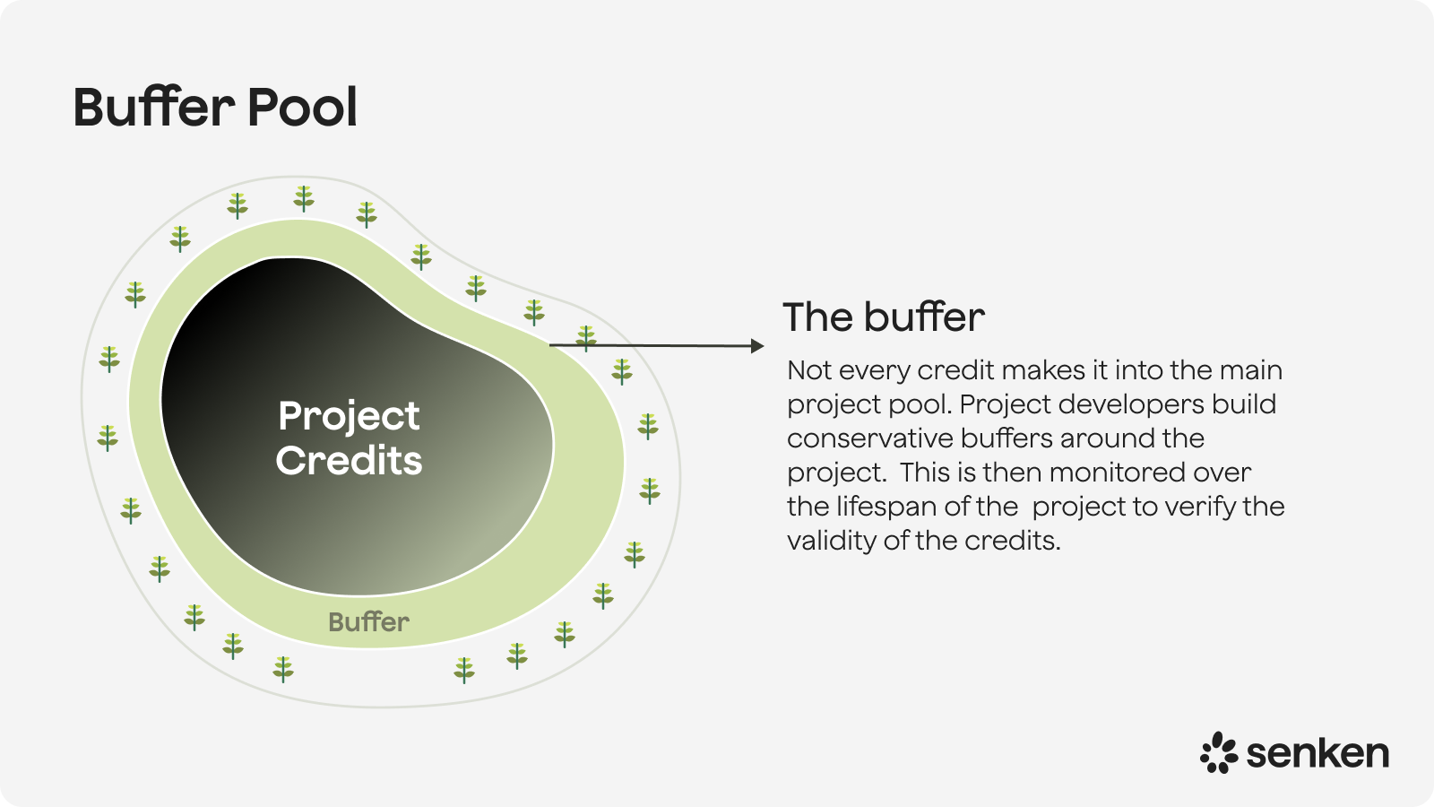 Buffer pool for carbon credit projects