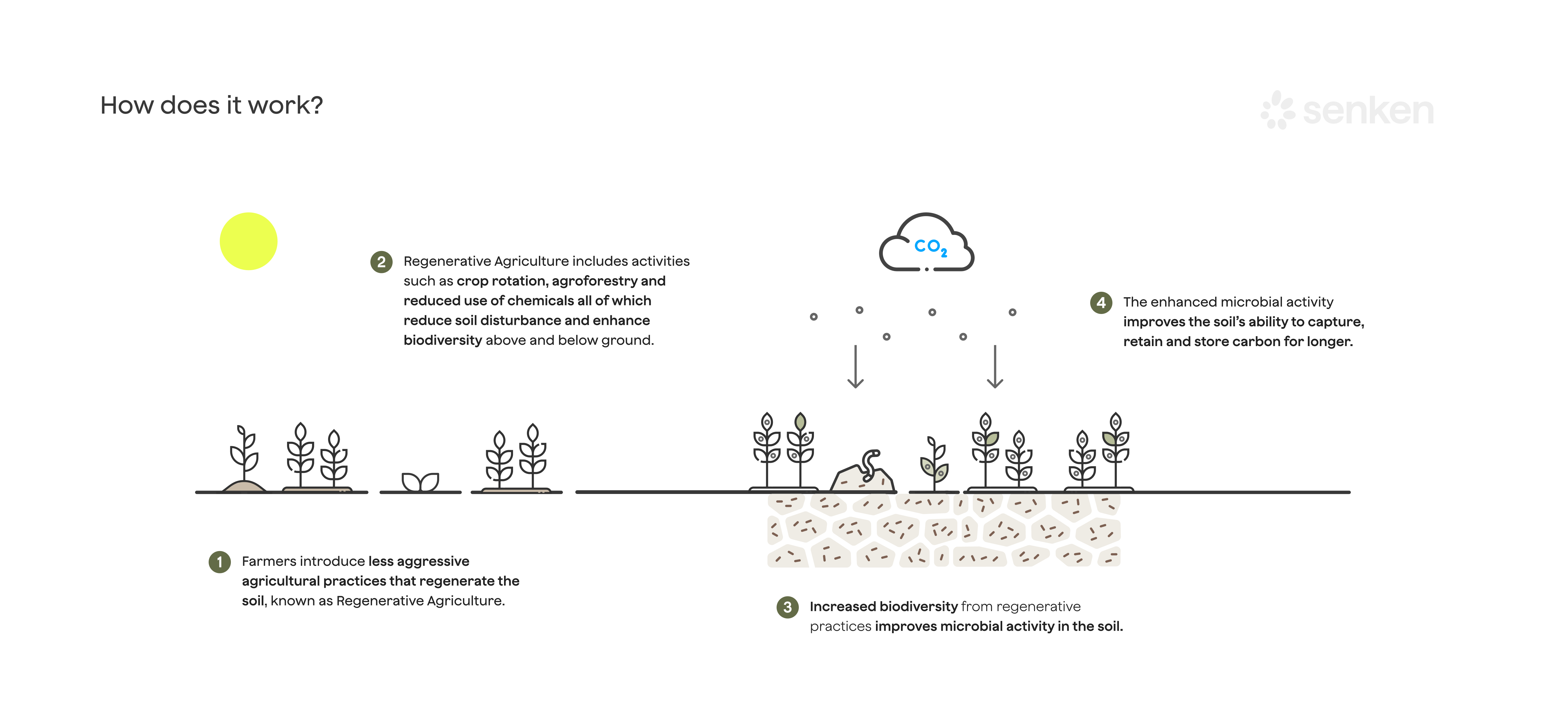 Regenerative agriculture carbon removal process linking European farms, cover crops and no till practices with corporate supply chains and EU climate reporting requirements