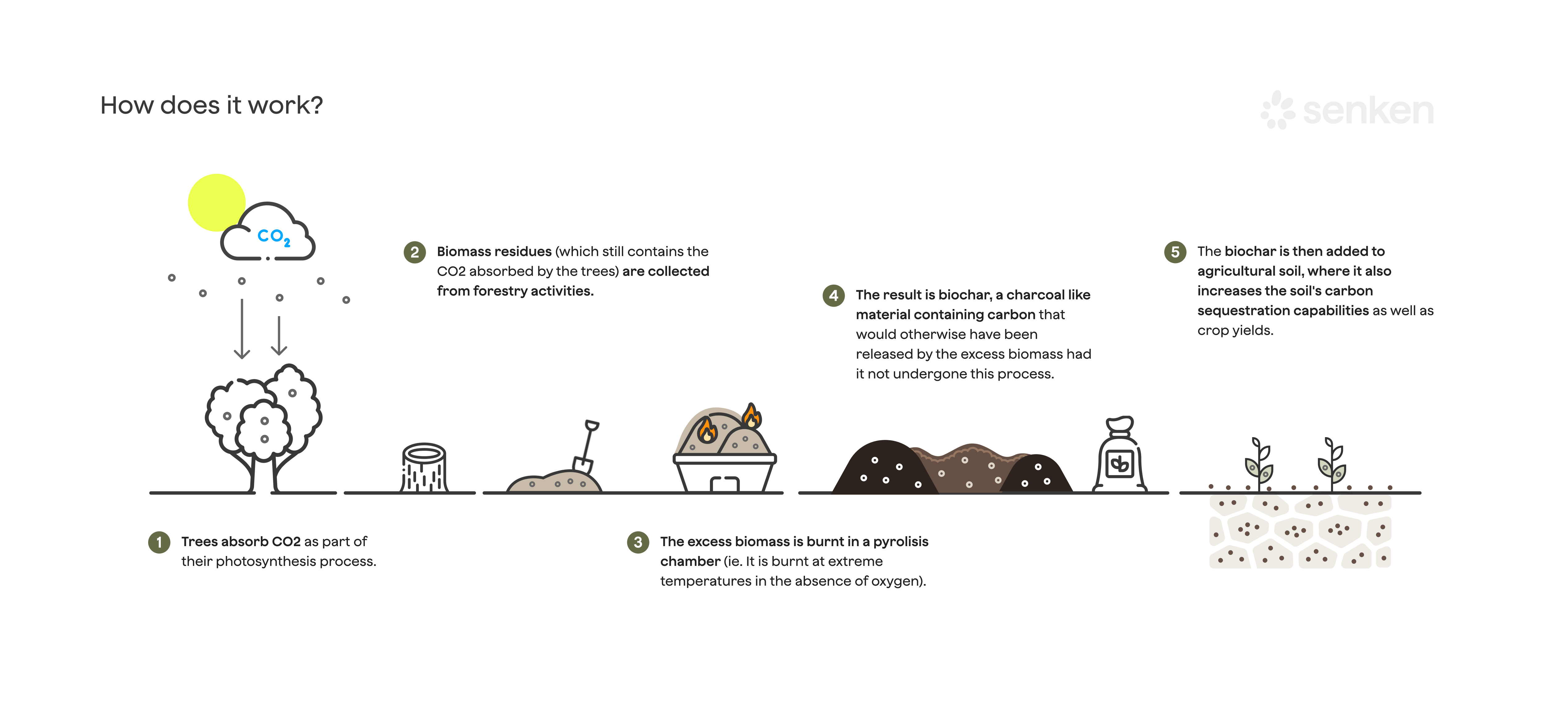 Industrial biochar pyrolysis reactor showing biomass feedstock input and separate outputs of biochar, gases and bio‑oil for energy recovery and carbon removal