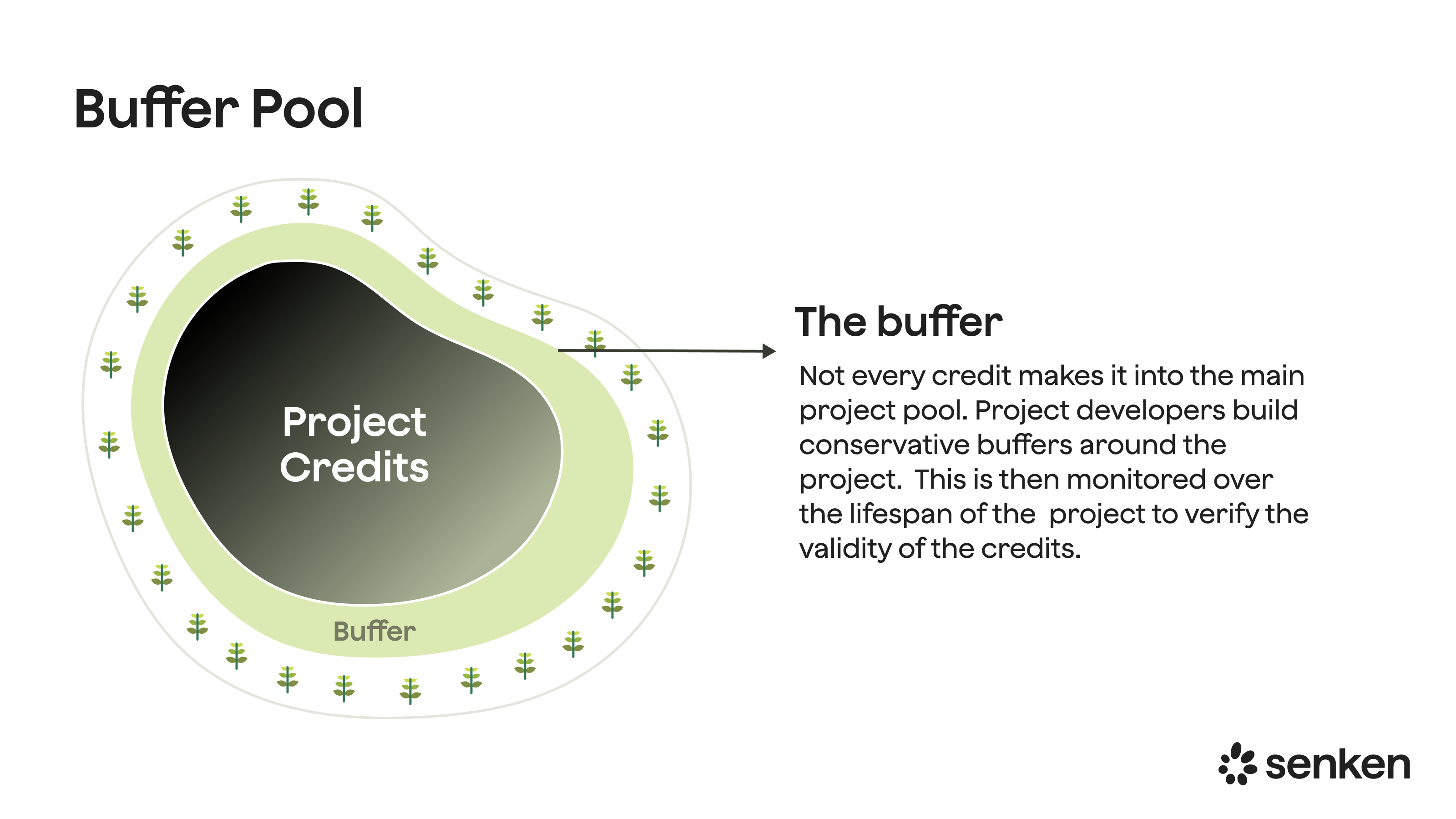 Buffer pool concept for forest carbon projects showing shared credits set aside to cover wildfire, pest and other reversal risks and support long-term permanence