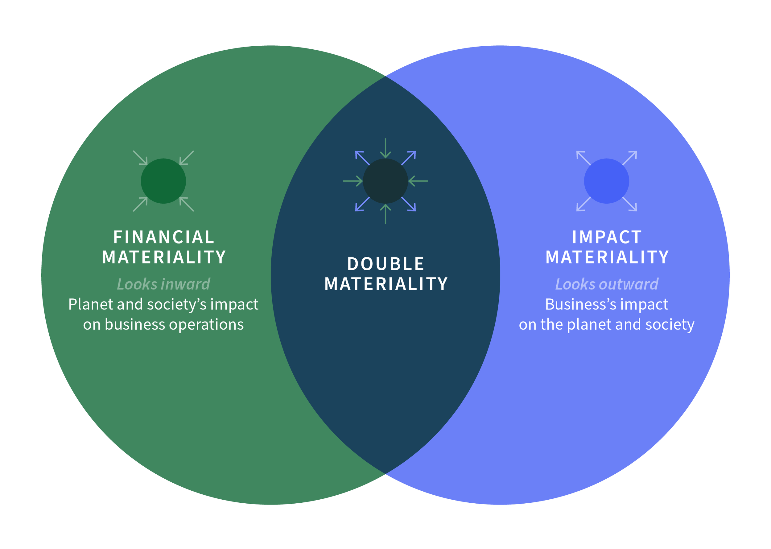 Double materiality Venn diagram
