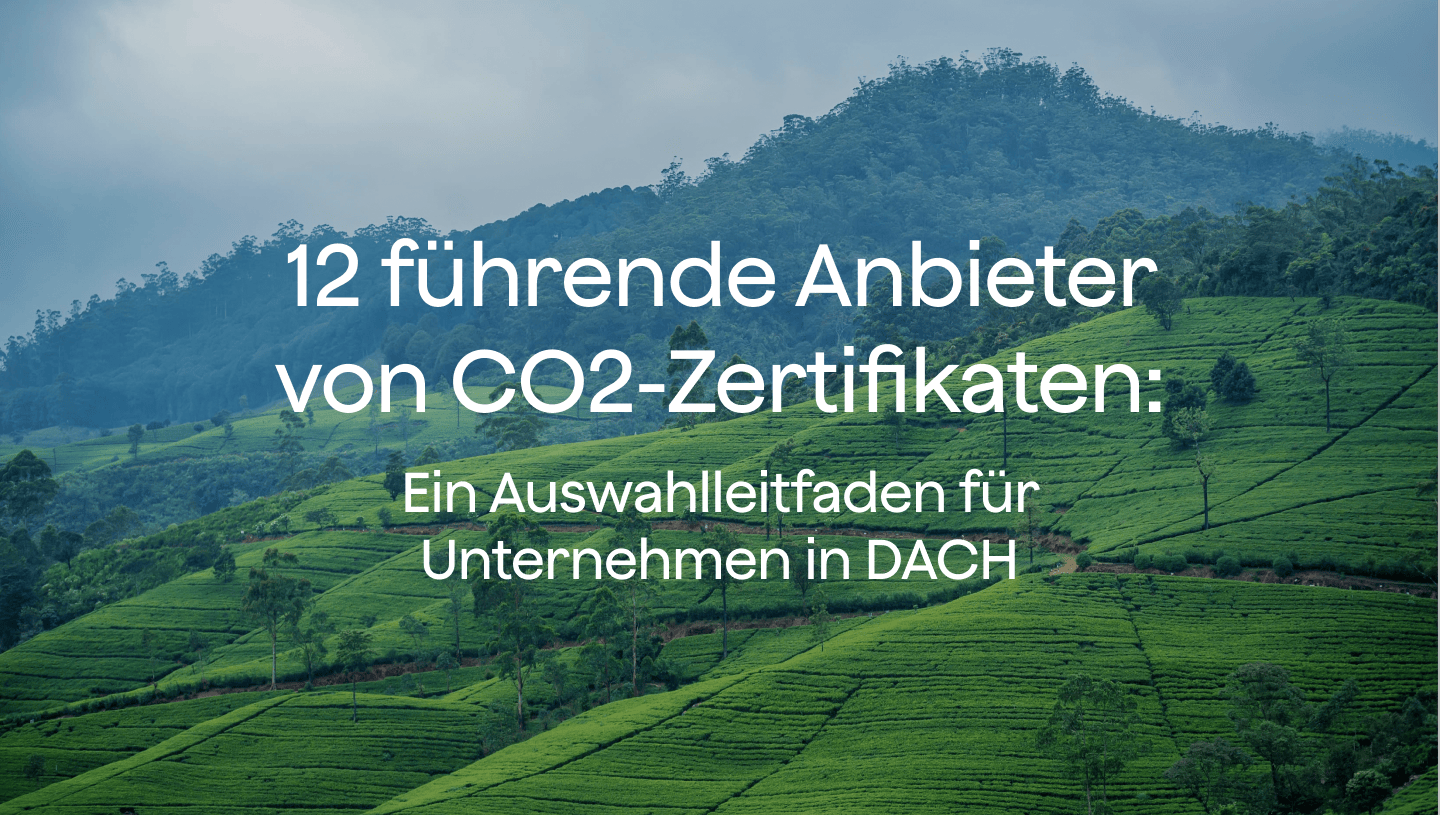 12 führende Anbieter von CO2-Zertifikaten