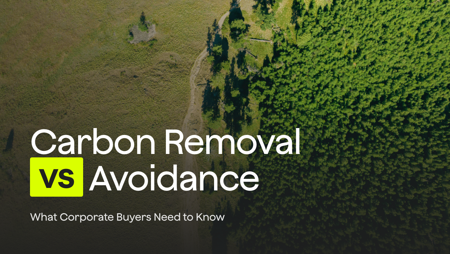 Carbon Avoidance vs Carbon Removal