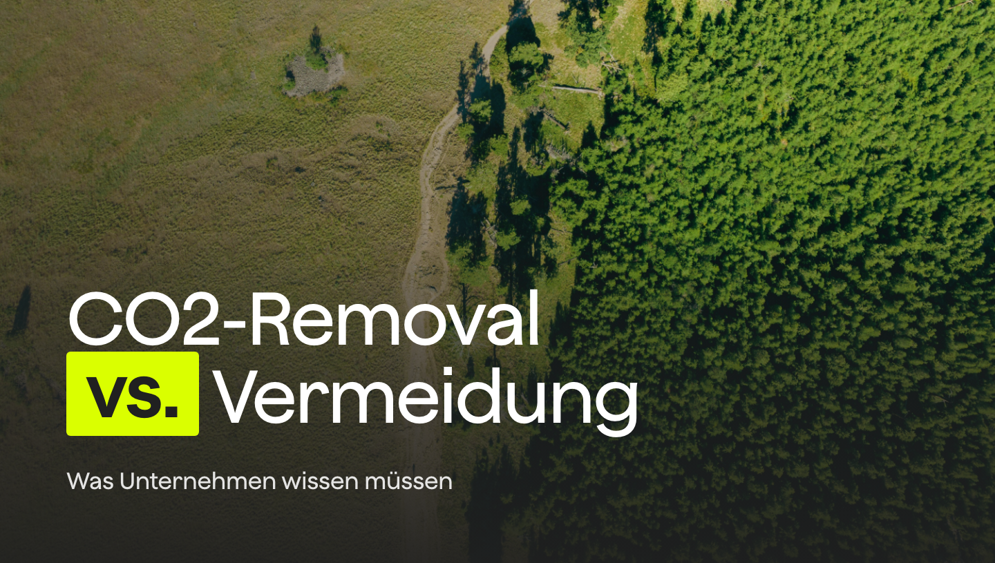 CO2-Vermeidung vs CO2-Removal