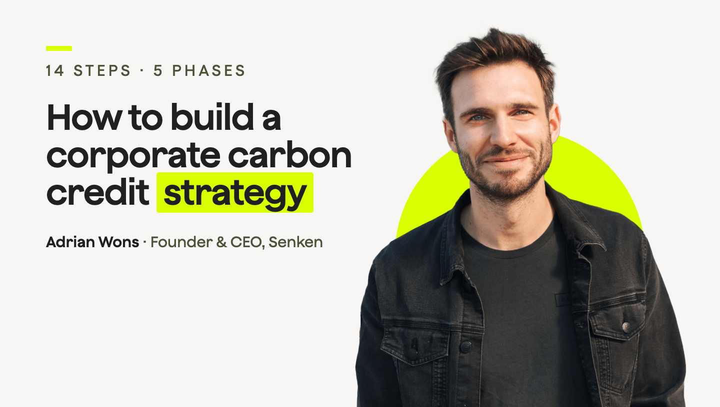 How to build a corporate carbon credit strategy