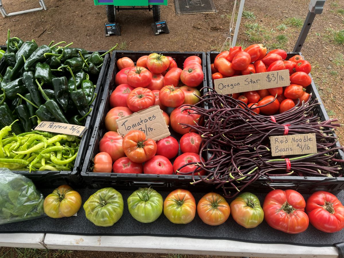 A variety of fresh, locally grown, sustainable produce arranged in the shape of a heart; kale, squash, garlic, beets, tomatoes, peppers, lettuce