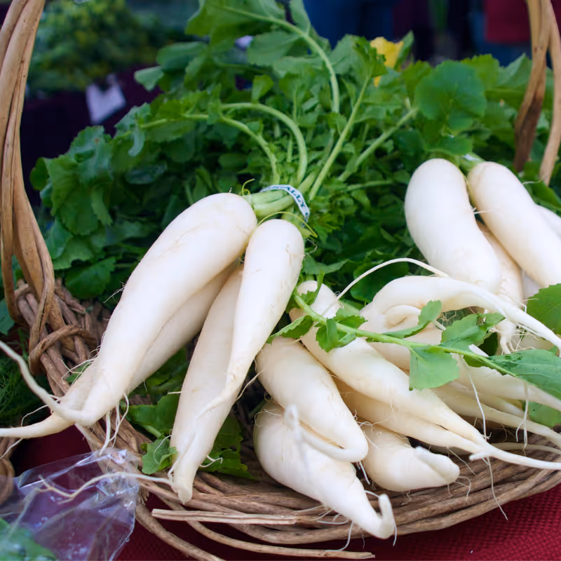 Daikon