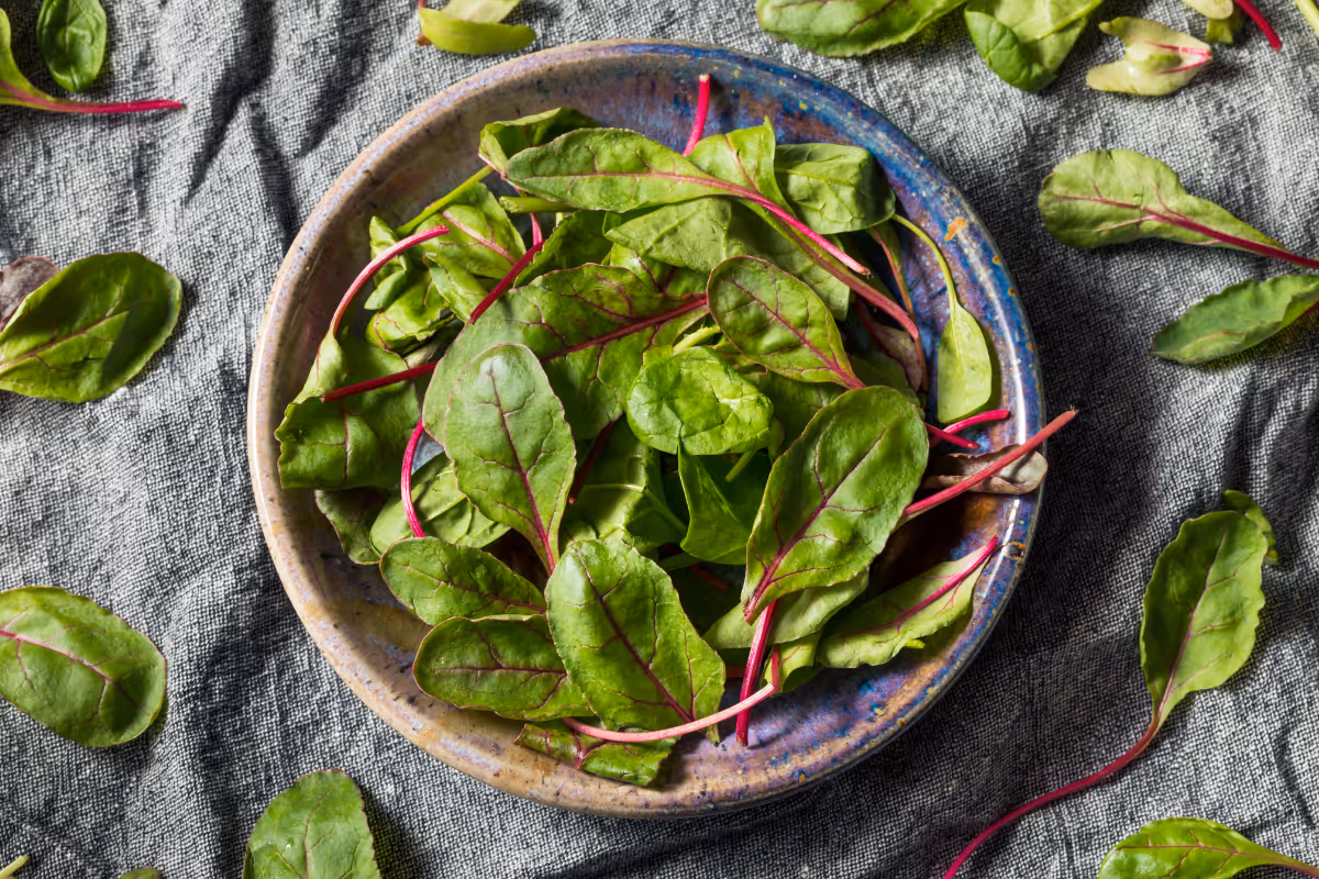 A bowl full of delicious, fresh beet greens, one of the many types of unexpectedly edible root vegetable greens that you may find in your CSA produce box