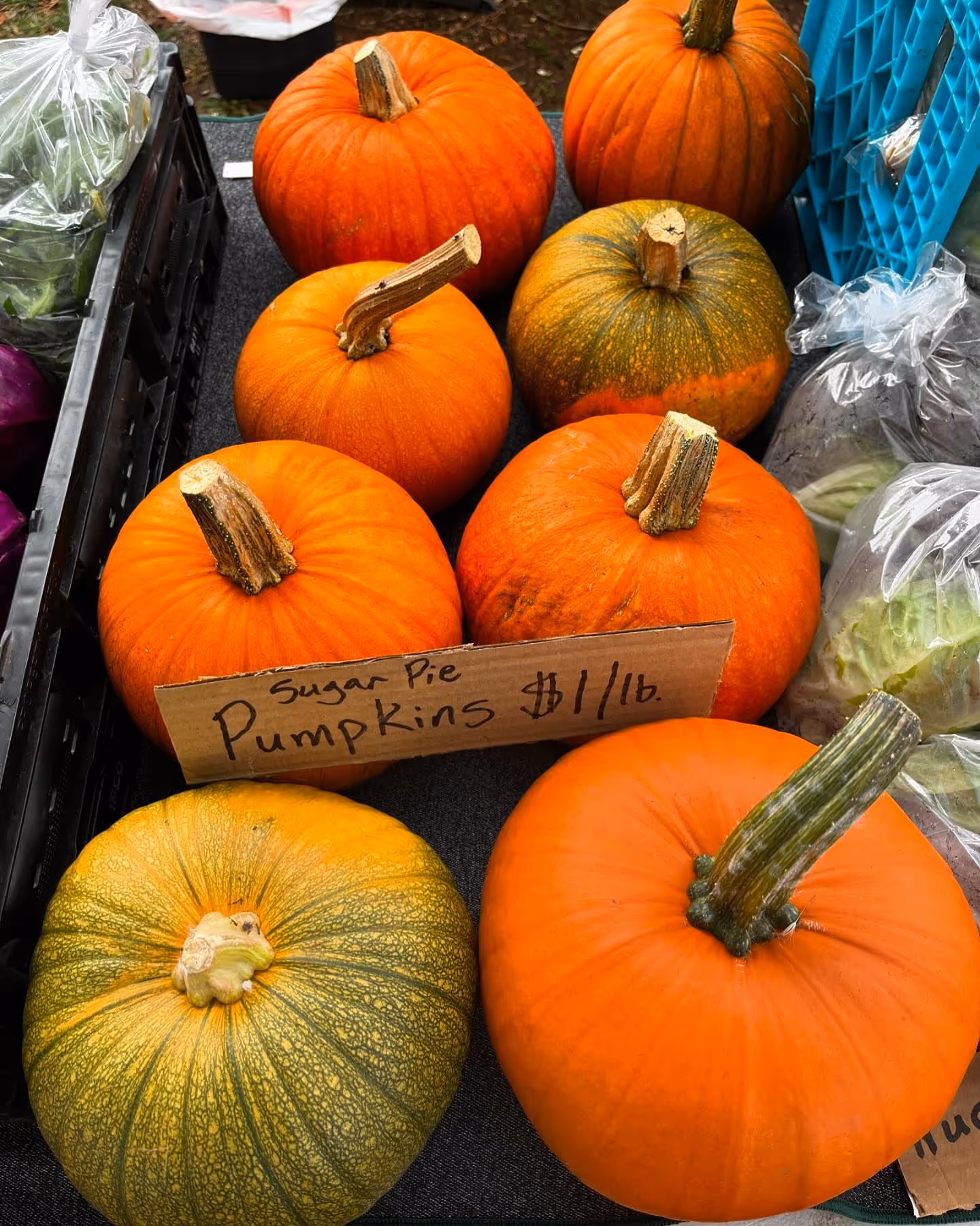 CSA share option, a variety of fresh local produce and eggs