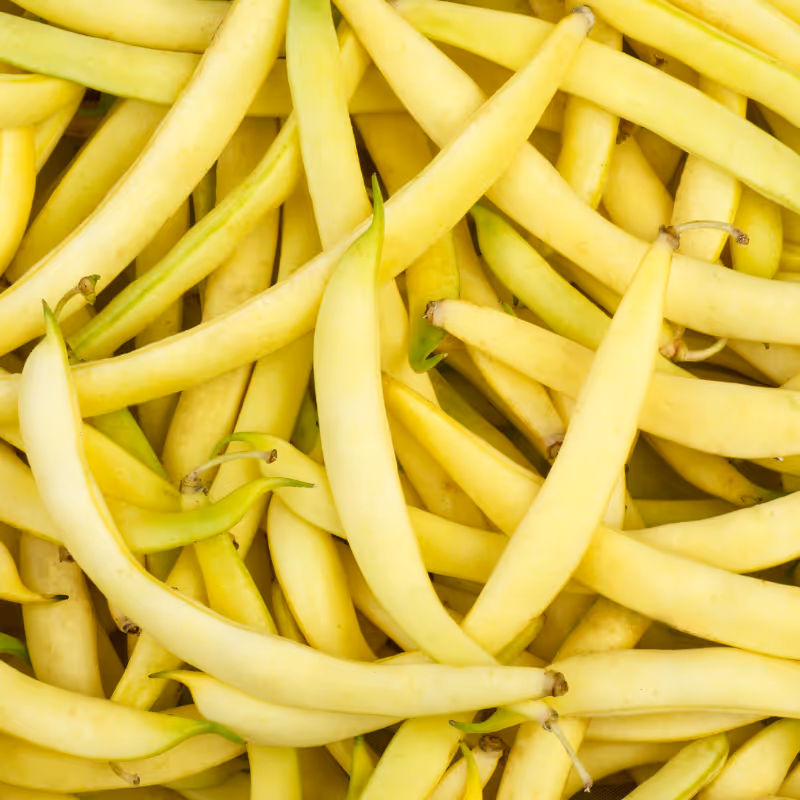 Yellow Wax  Beans