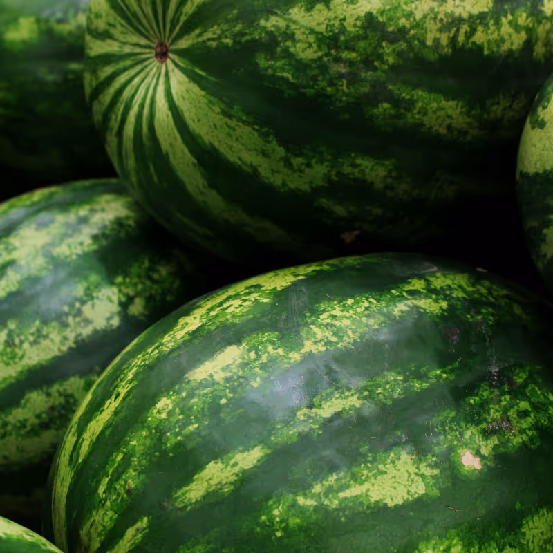Mini Love Watermelon