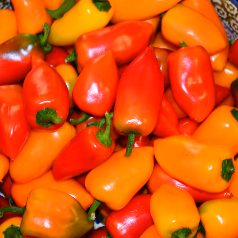 Sweetie Mini Peppers