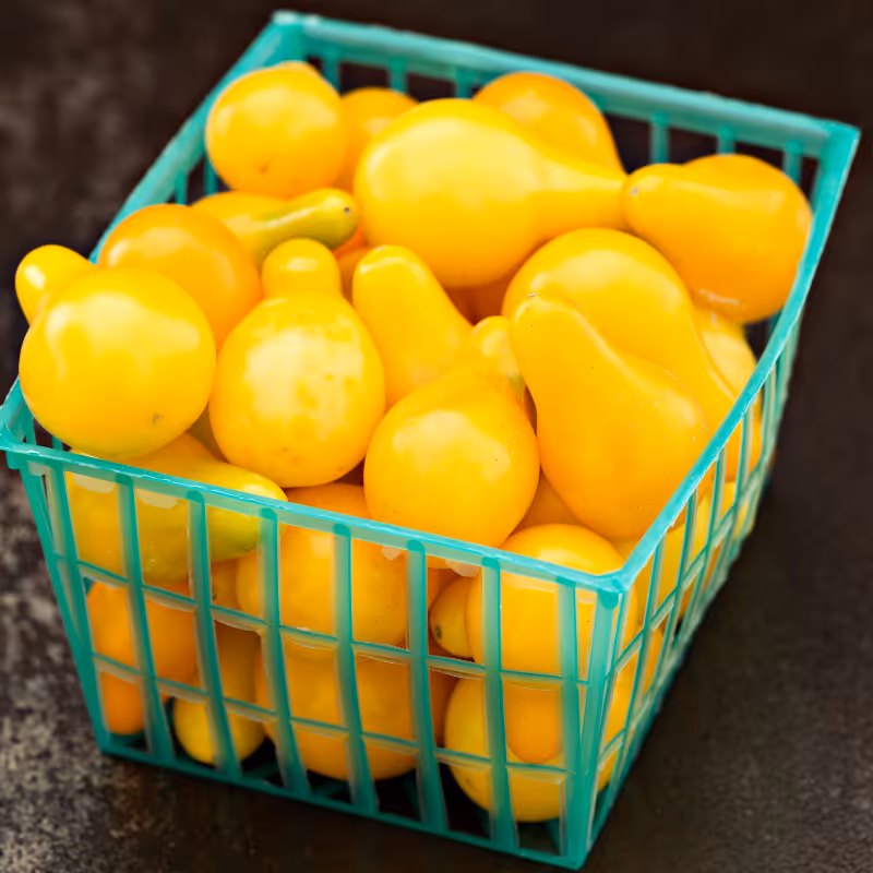 Yellow Pear