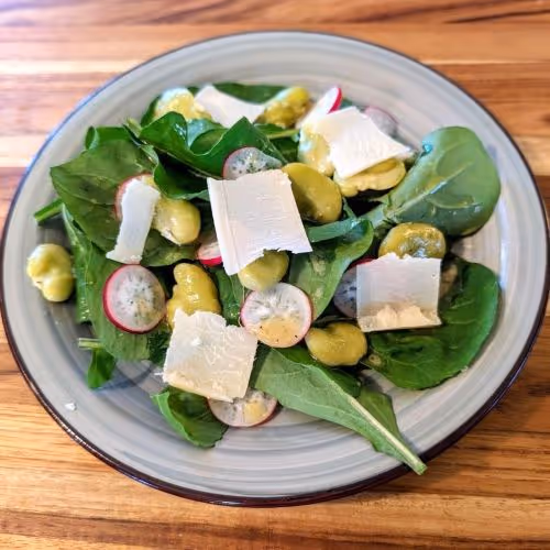 Spring Fava Bean and Arugula Salad
