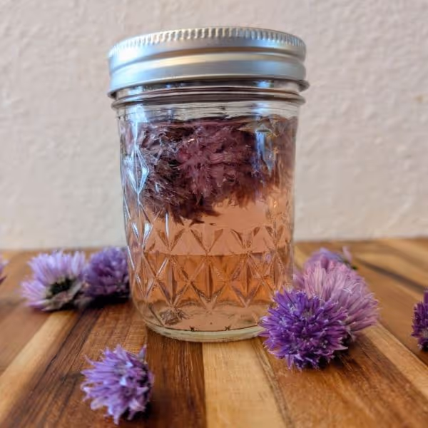 Chive Blossom Vinegar