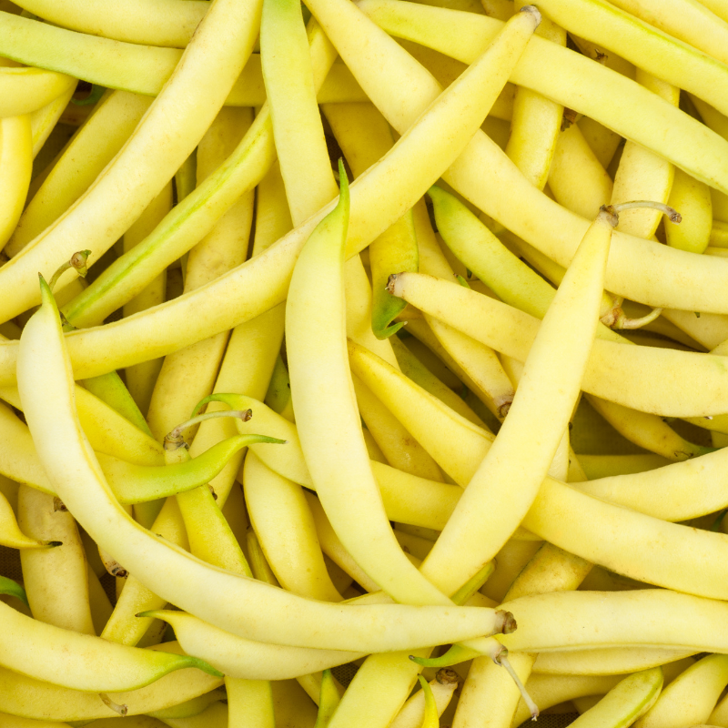 Monet Gusto Yellow Wax Beans
