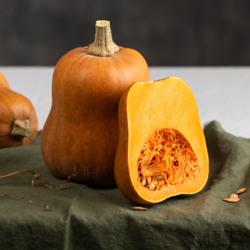 Butterbaby Butternut
