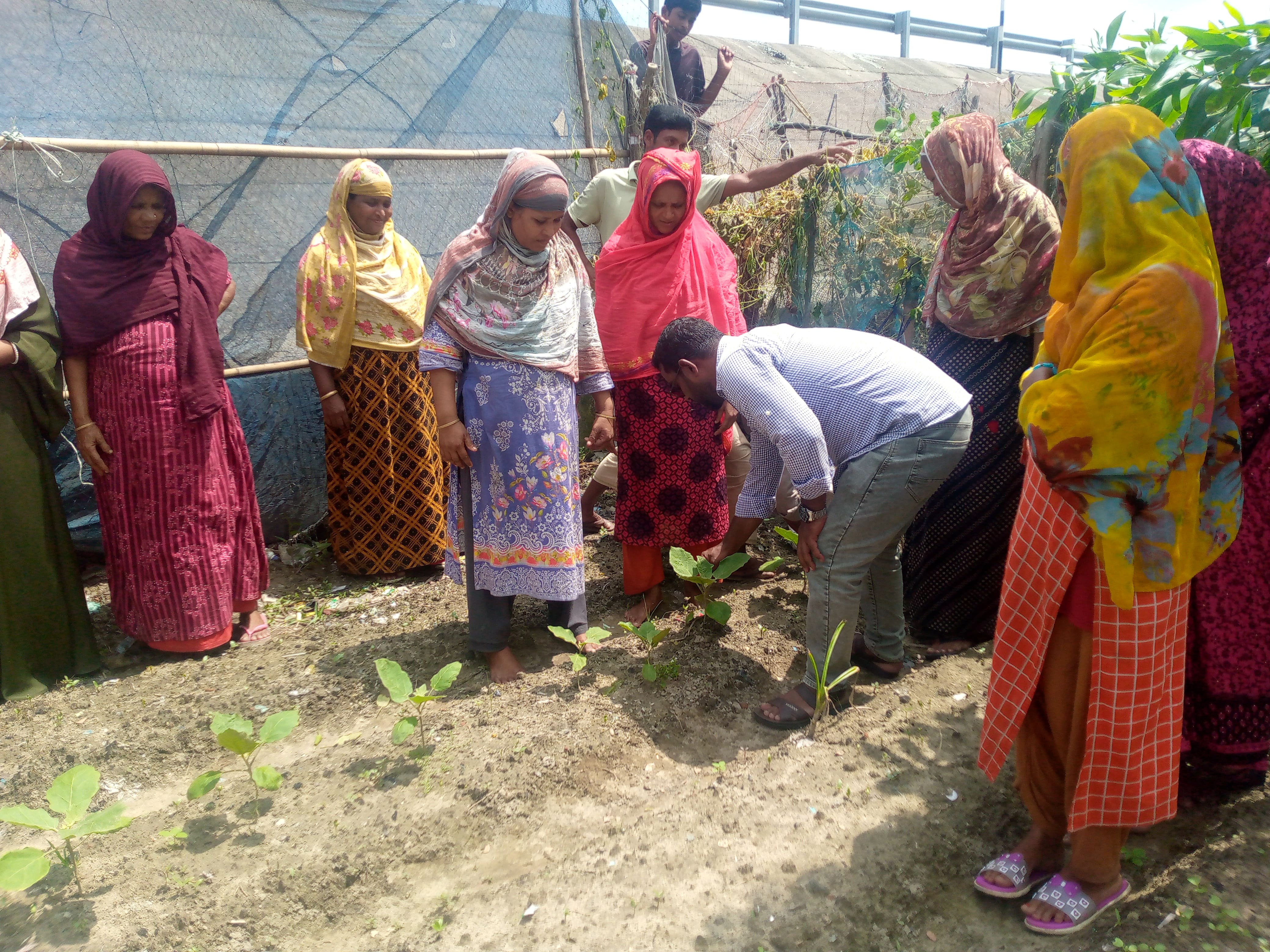 Formation de villageois à la plantation de mangroves grâce au soutien de LIFE