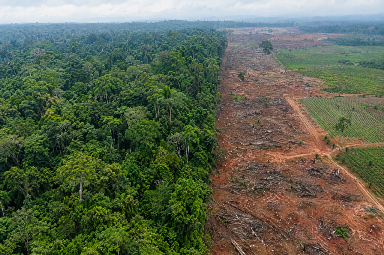 Aerial view of an African tropical forest cleared for farmland