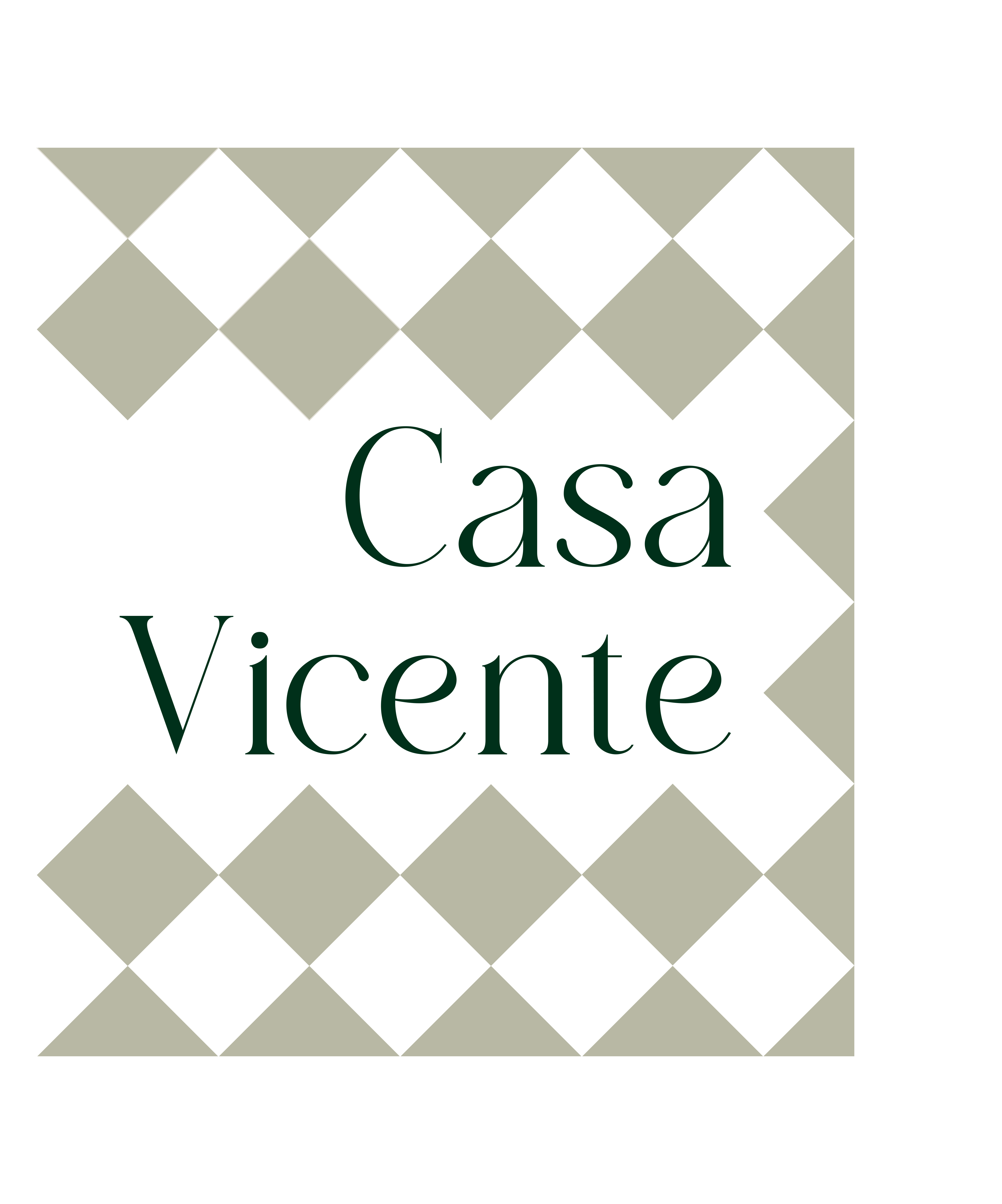 Casa Vicente