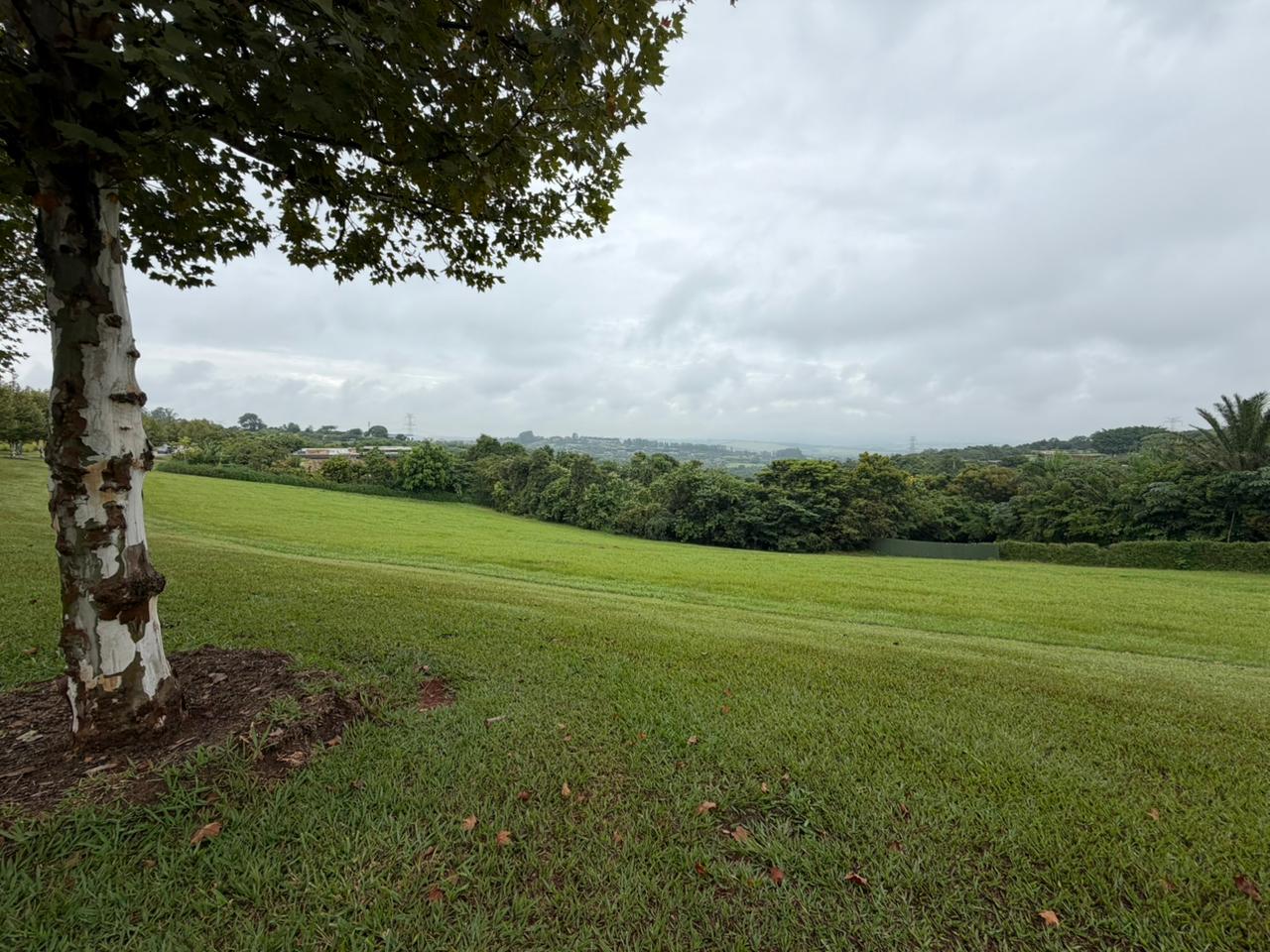 Lançamento | Fazenda Boa Vista