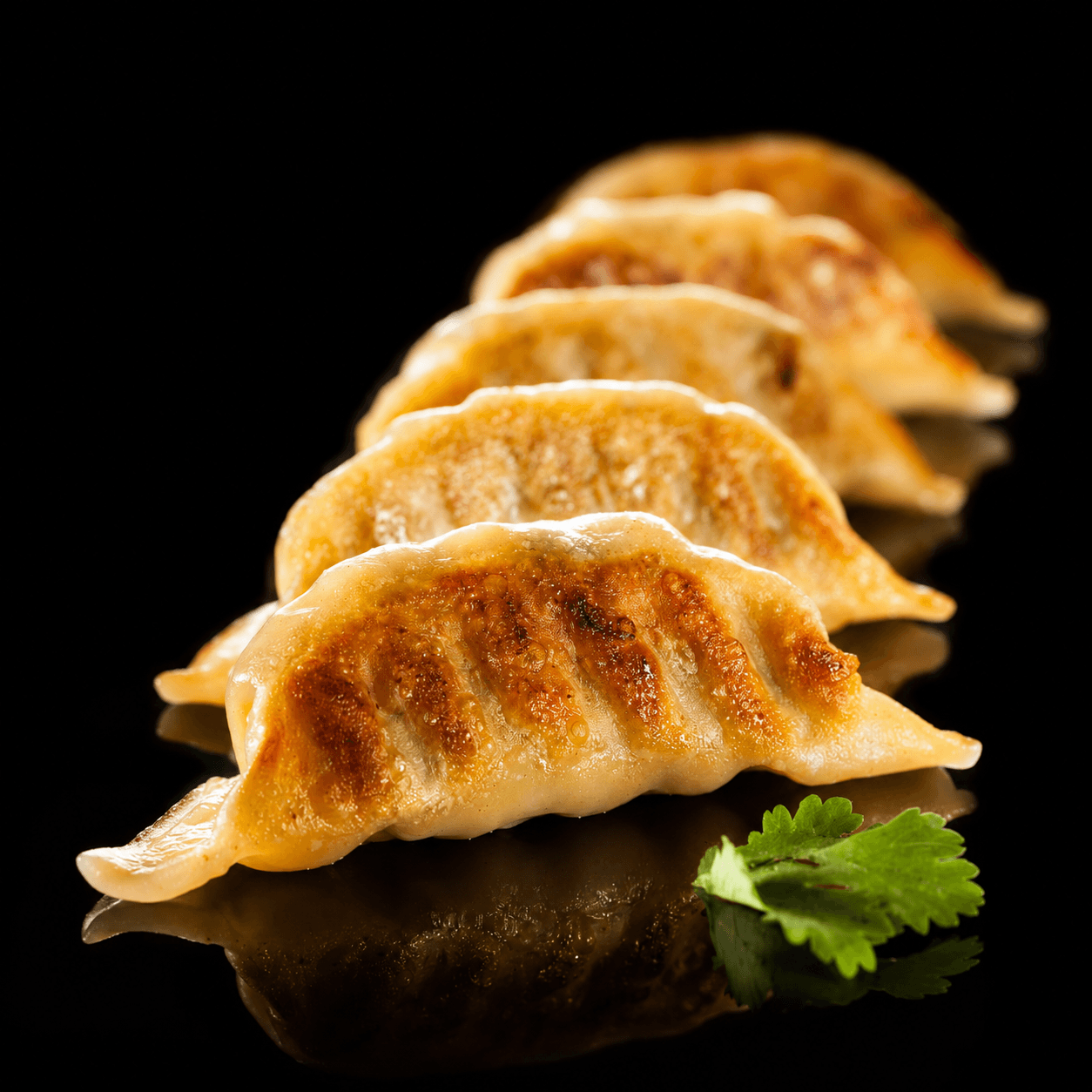 Kylling Gyoza
