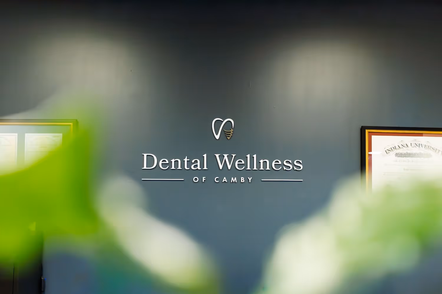 Dental Wellness of Camby logo on a dark wall with blurred green leaves and framed certificates on each side.