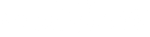 Webflow Logo