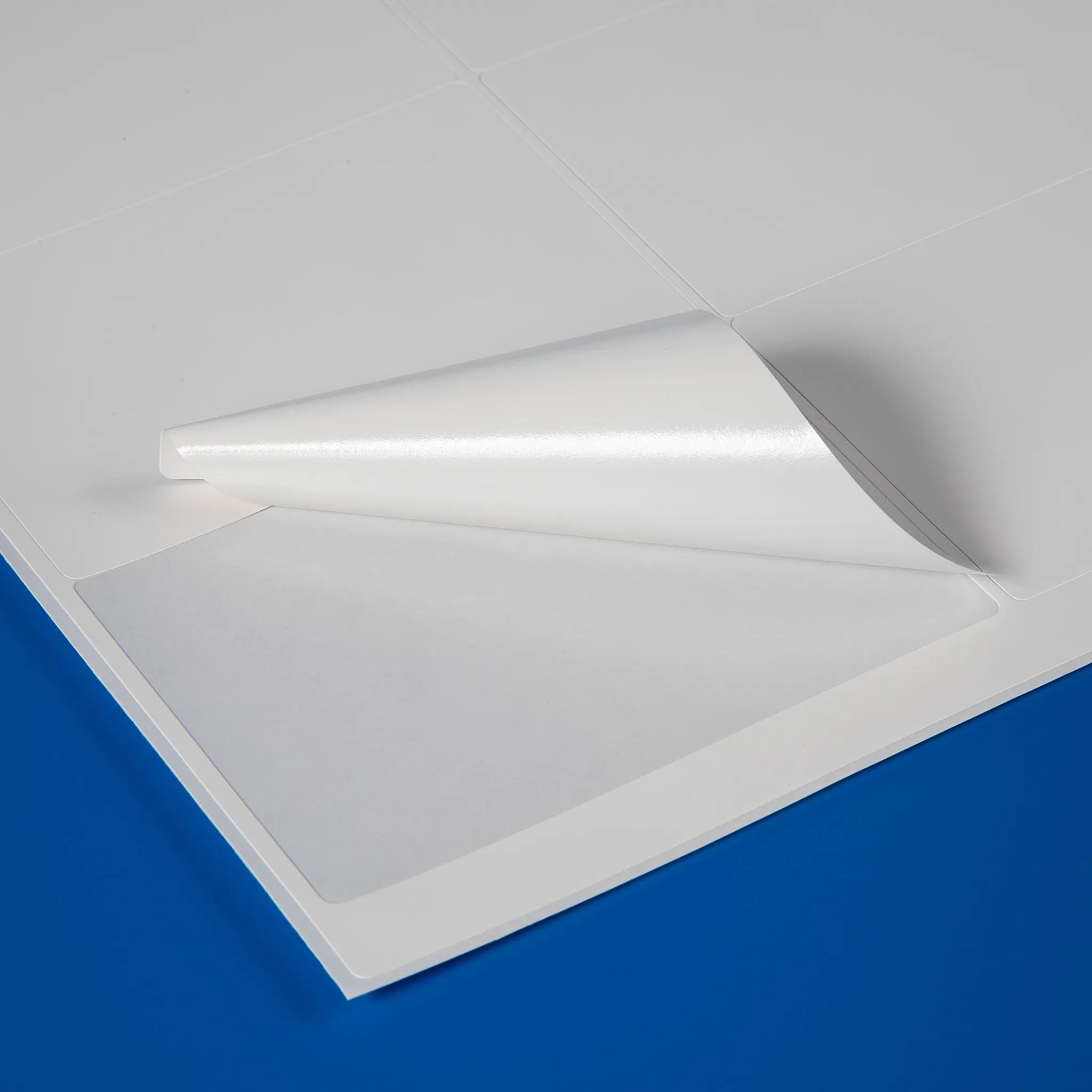 Sheeted self-adhesive labels for use with a laser printer or inkjet printer for on-demand label and tag printing.