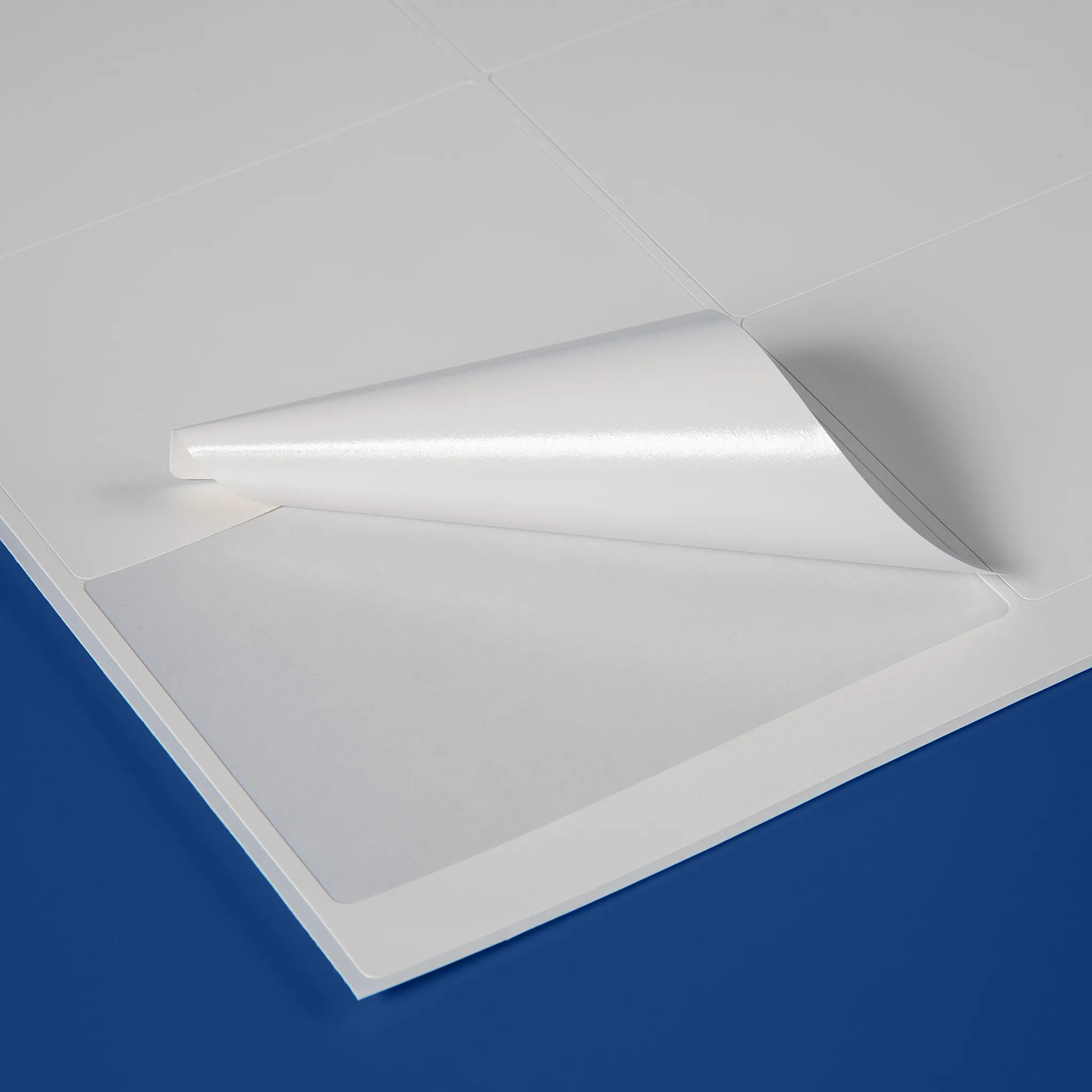 Sheeted self-adhesive labels for laser printing