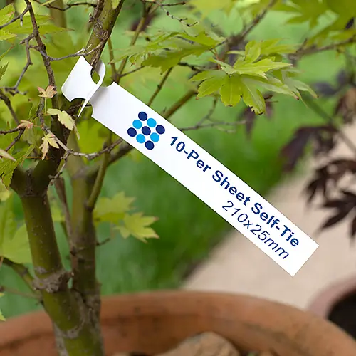 A loop lock self tie label for laser printers such as the OKI C650.