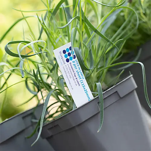 Laser printable sheeted stick in labels