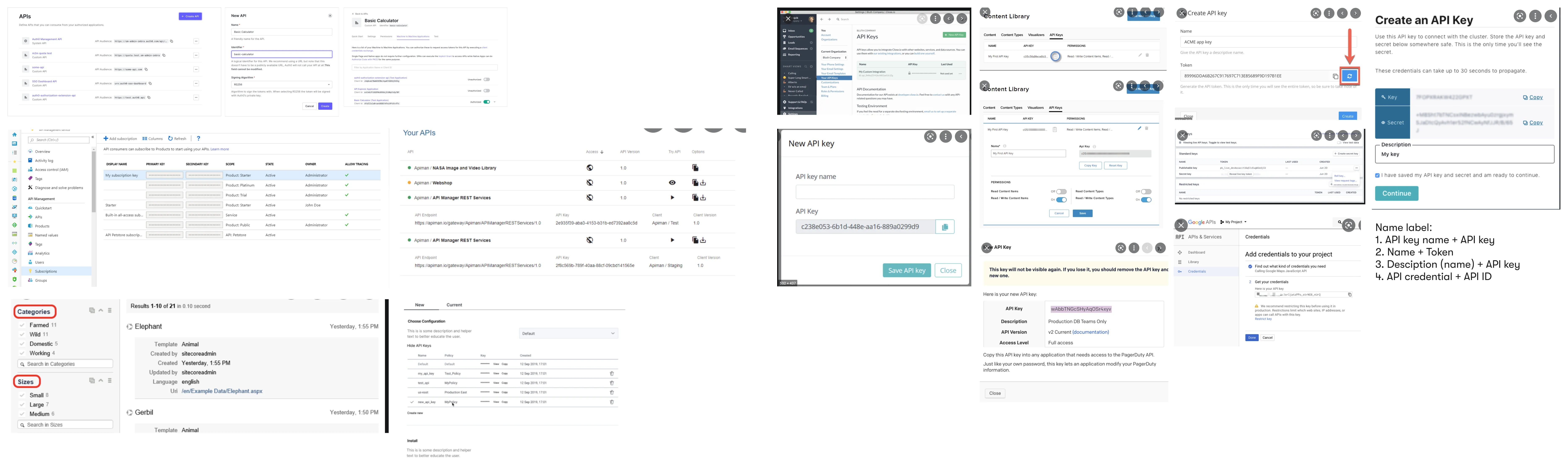 Collection of API key screens from various platforms, showcasing how other tools display and manage keys. Highlights elements like token generation, naming conventions, credential details, and permission toggles. A note on naming labels is listed at the bottom right.