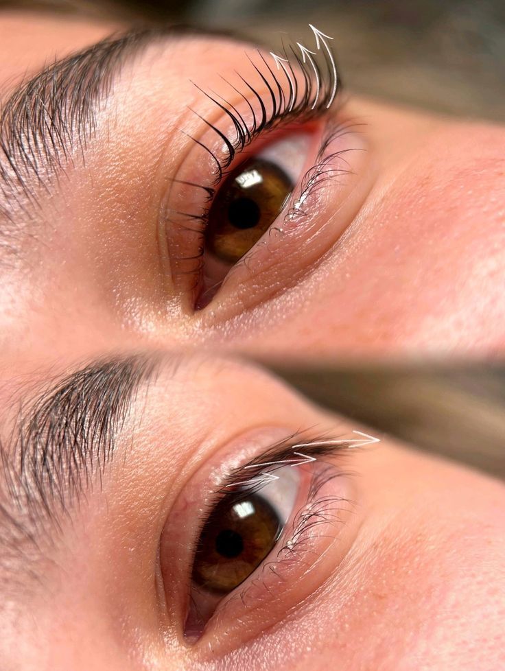 Korean Lash Lift: Everything You Need to Know for Naturally Beautiful Lashes