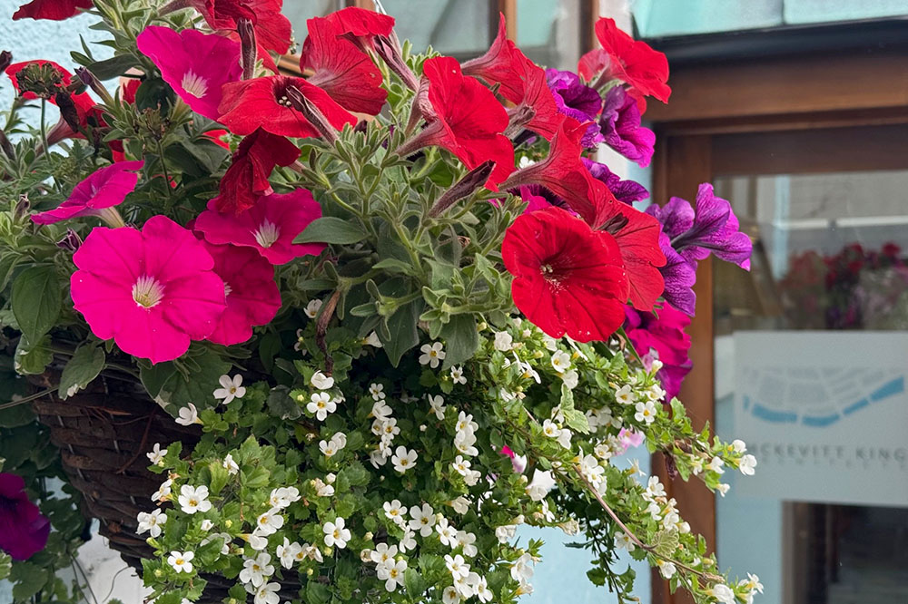 Tullyallen Mens Shed Flower Baskets
