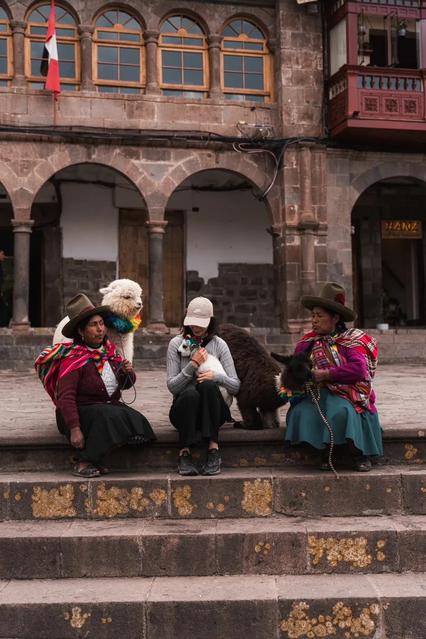 Alpacas en la plaza de armas de Cusco