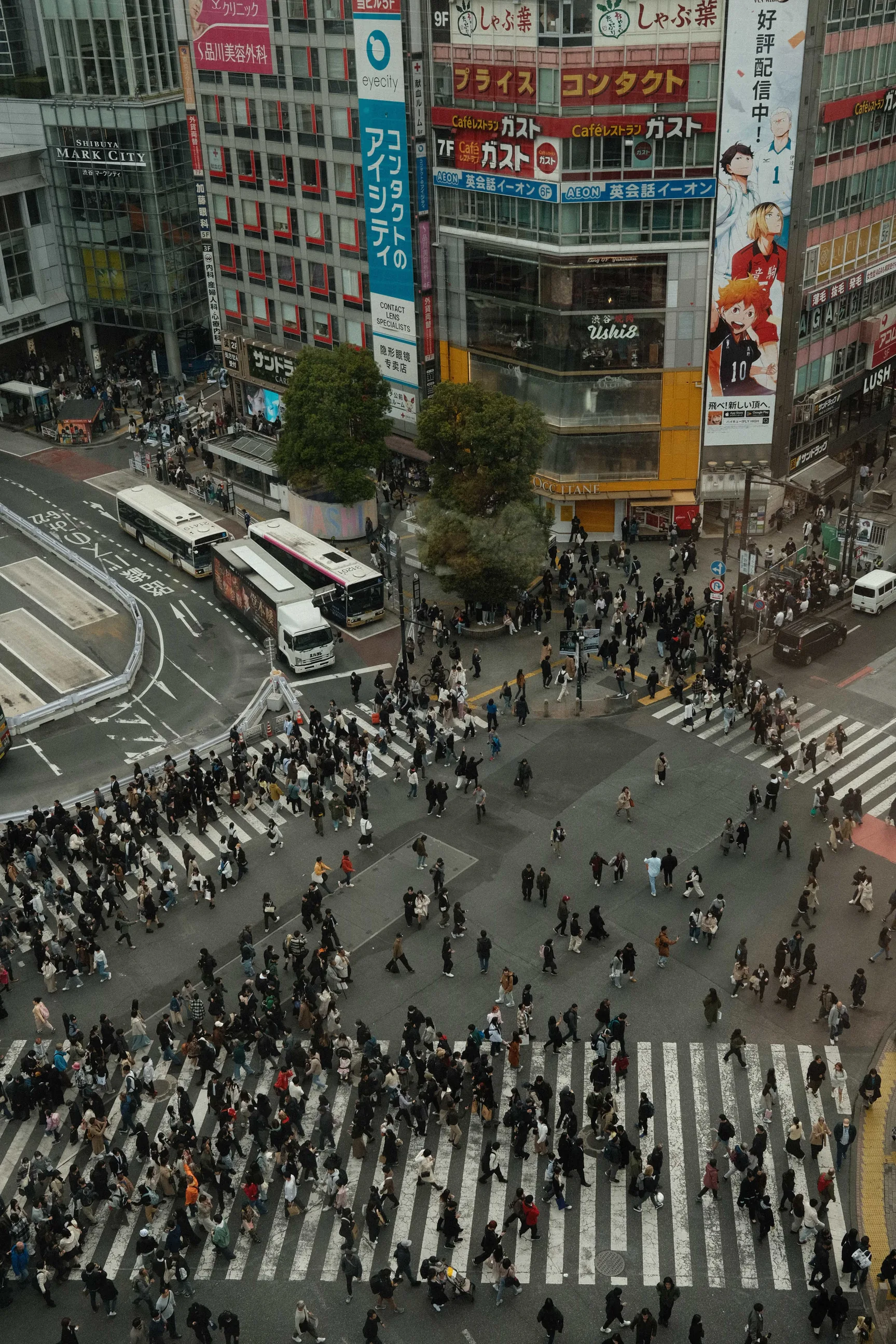 Shibuya Crossing