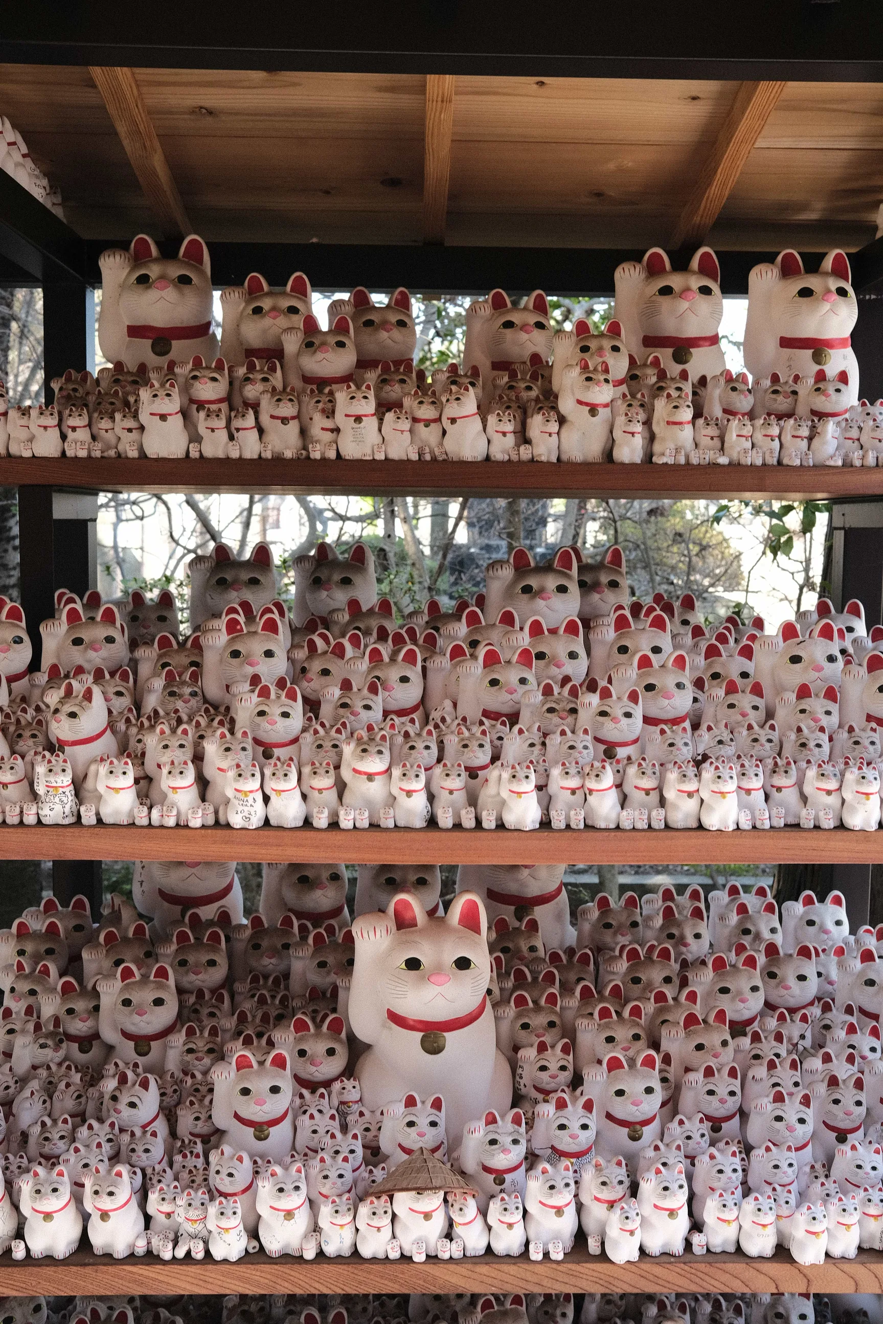 Templo gatitos de la suerte en Tokio