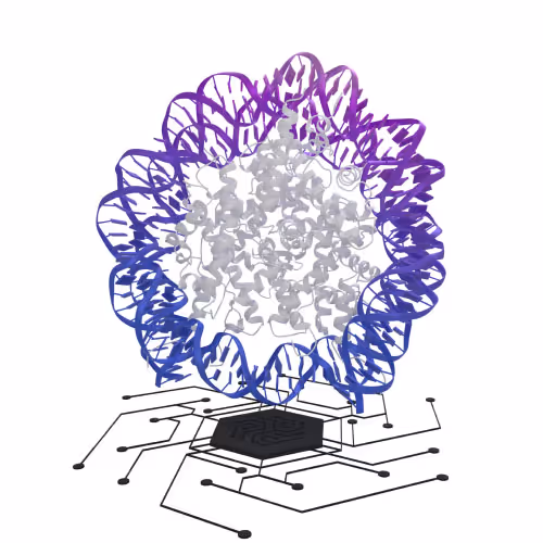 Protein Structure Preparation