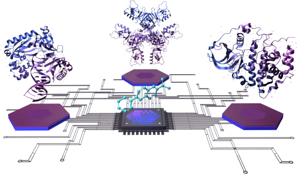 Drug Target Collections