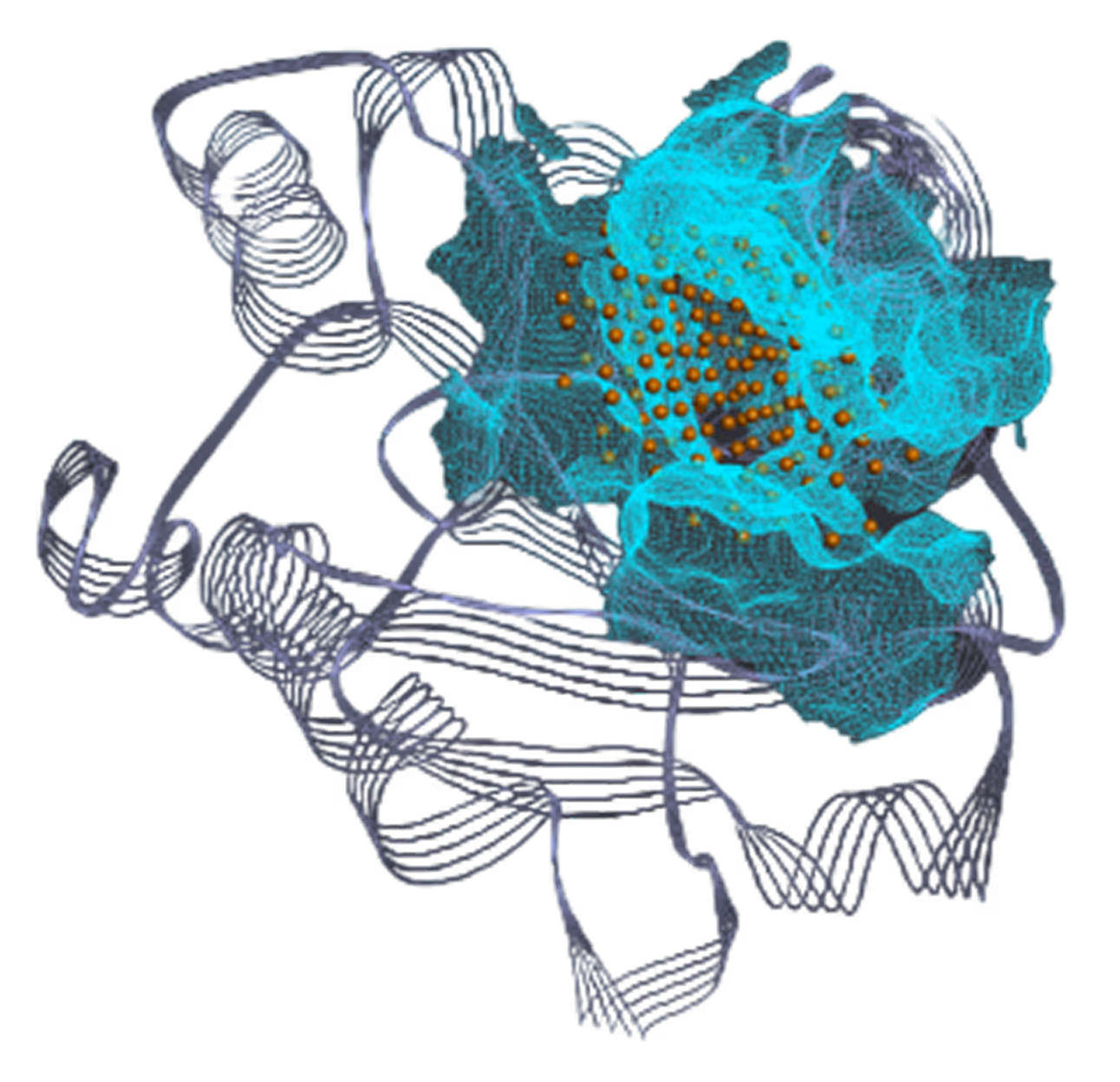 Pocket 1 visualization